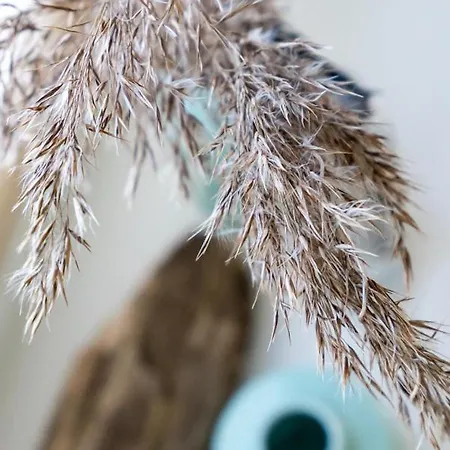 Prázdninový dům Reetdachhaus Strandkoje Reetdachhaus Strandkoje *